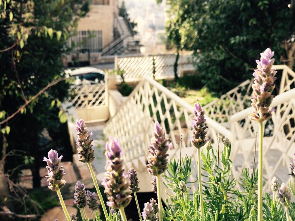 Lavender Boutique Hotel Рамала Екстериор снимка